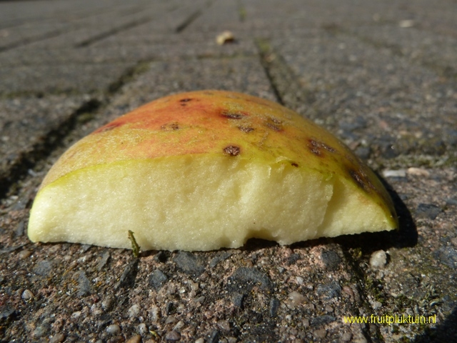 Appel met kurkstip